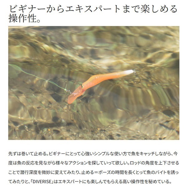 CARDIFF ダイバライズ 55F